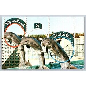 Postcard Florida St. Augustine Marineland Three Porpoises Dolphins Oceanarium FL